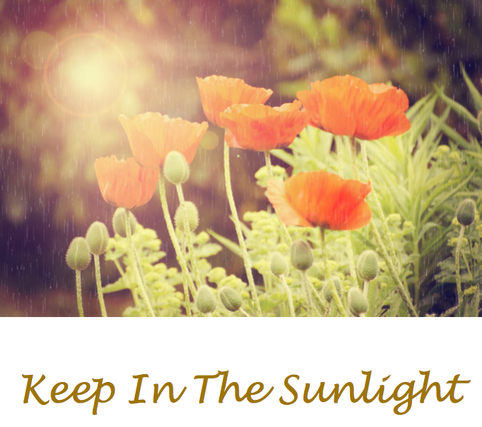 Keep in the Sunlight